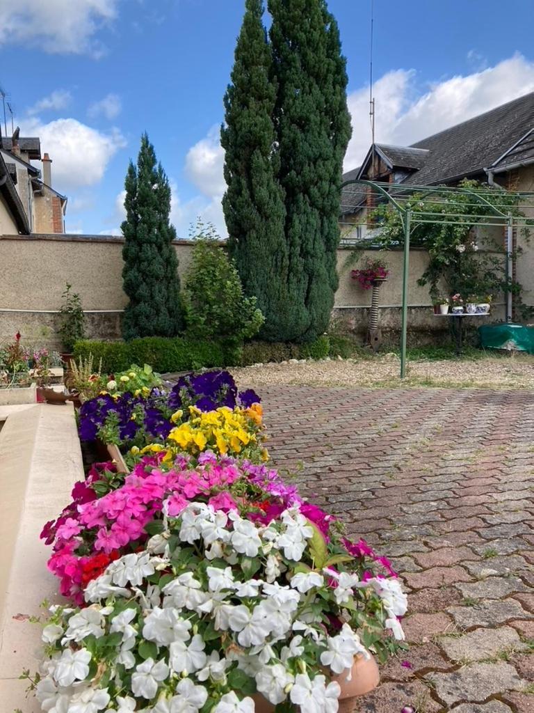 Villa Capucine Aubigny-sur-Nere Exterior photo