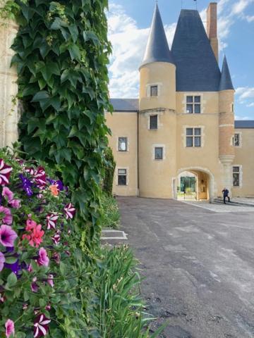 Villa Capucine Aubigny-sur-Nere Exterior photo